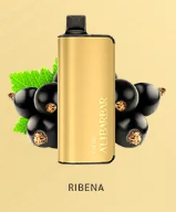 INGOT 9000 (Ribena)